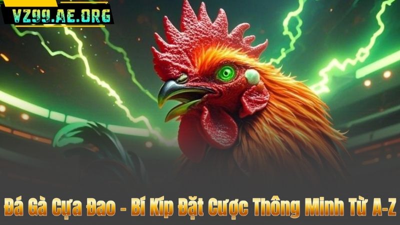 Đá Gà Cựa Đao – Bí Kíp Đặt Cược Thông Minh Từ A-Z